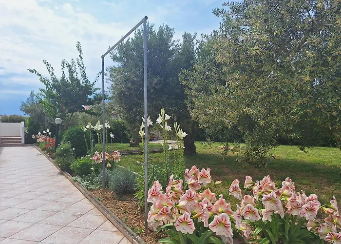 Apartments Donadic Ii, Caska